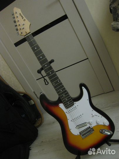 Электрогитара Terris