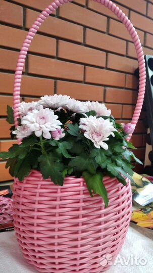 Кашпо горшок для цветов