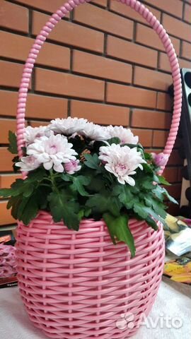 Кашпо горшок для цветов