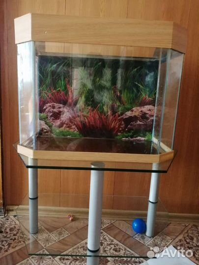 Аквариум