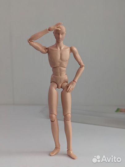 Volks тело мужское+голова