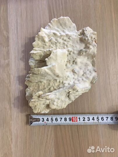 Натуральный белый коралл для аквариума