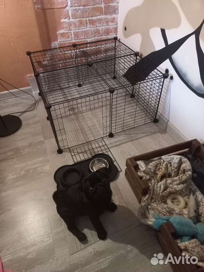 Вольер для собак,кошек