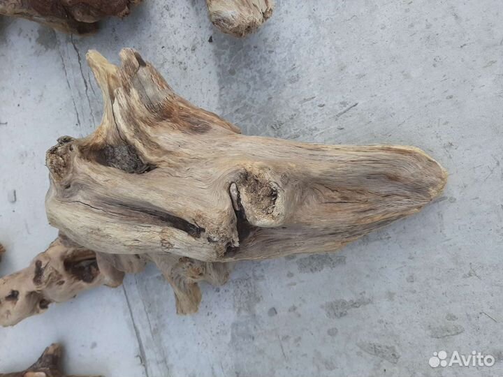 Коряги для интерьера