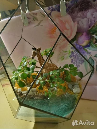 Флорариум