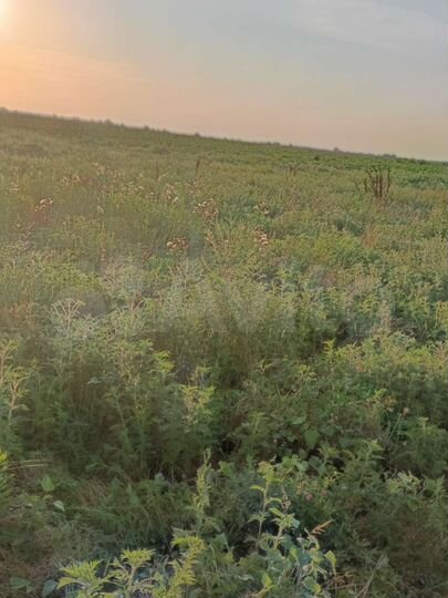 Участок 3,9 га (СНТ, ДНП)