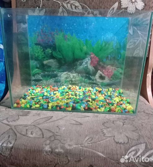 Аквариум