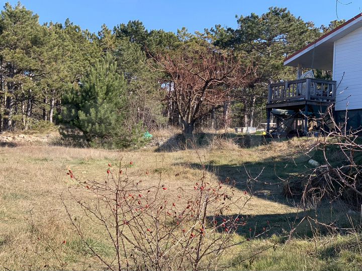 Участок 8,9 сот. (СНТ, ДНП)