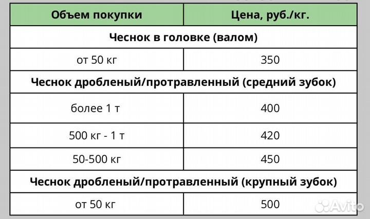 Озимый чеснок от 50кг