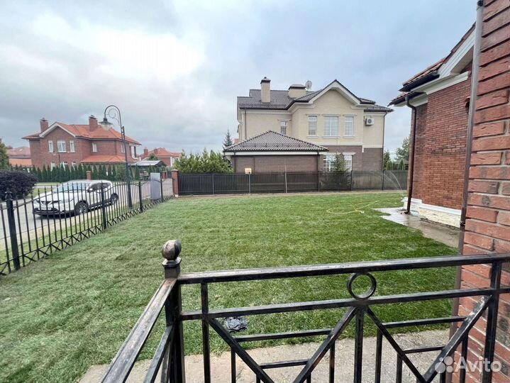 Рулонный газон 