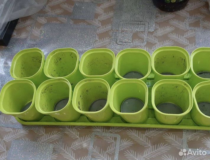Стаканчики для рассады