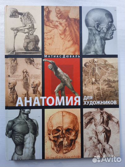 Анатомия для художников (Матиас Дюваль)