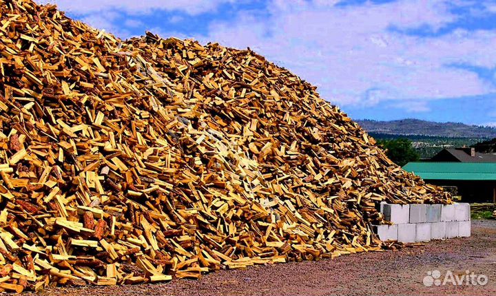 Дрова березовые