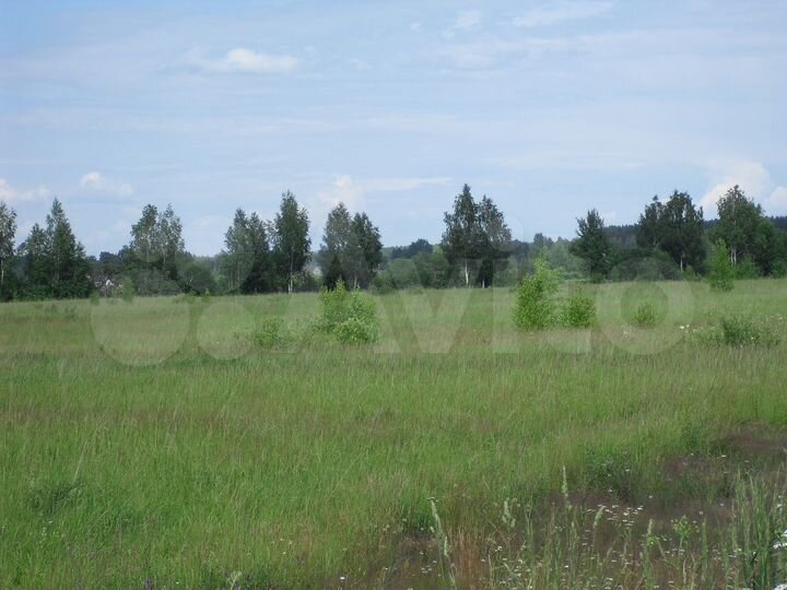 Участок 4,36 га (ИЖС)