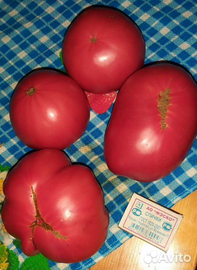 Помидоры