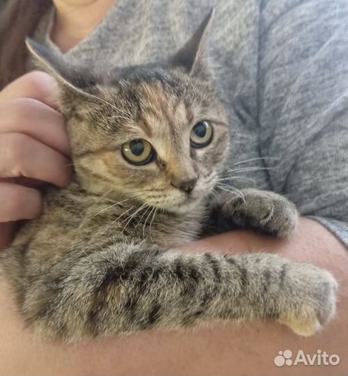 Дашу выбросили в коробке замотанной скотчем