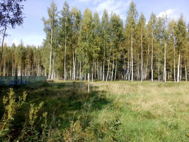 Участок 20 сот. (ИЖС)
