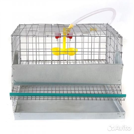 Клетки для кур, перепелов и кроликов