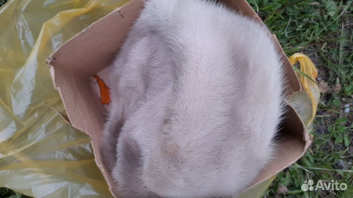 Шапка норковая