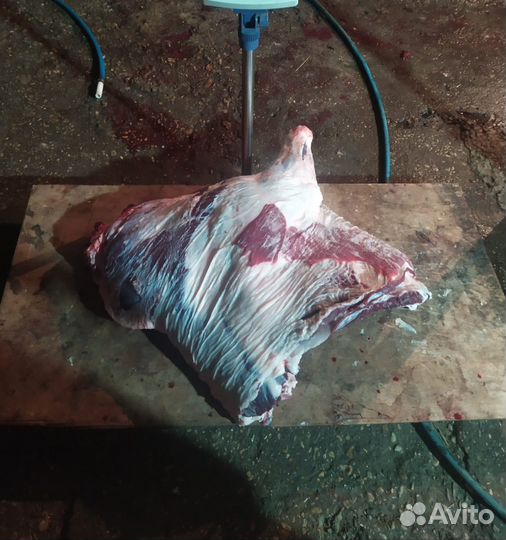 Продам мясо говядина