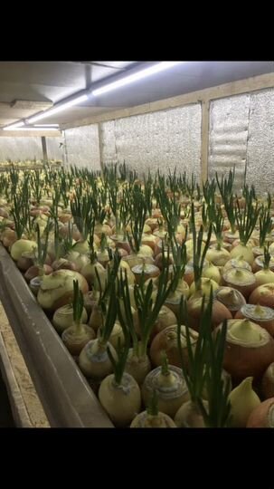 Дача 170 м² на участке 7,8 сот.