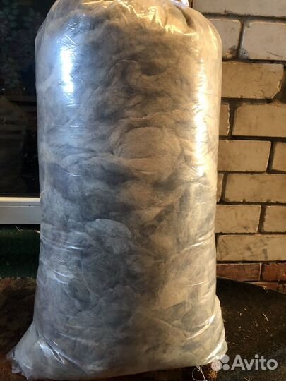 Собачья шерсть