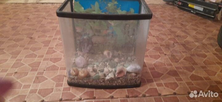 Аквариум