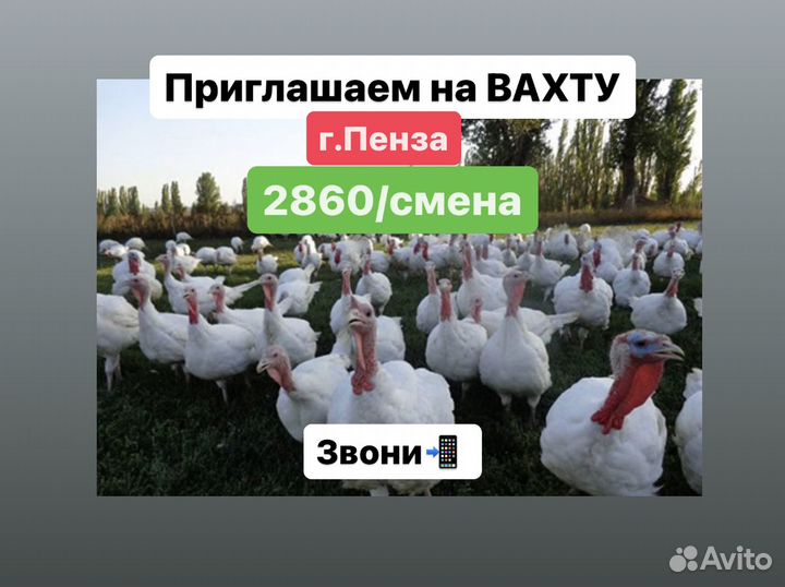 Разнорабочие вахта с оплатой проезда 94380