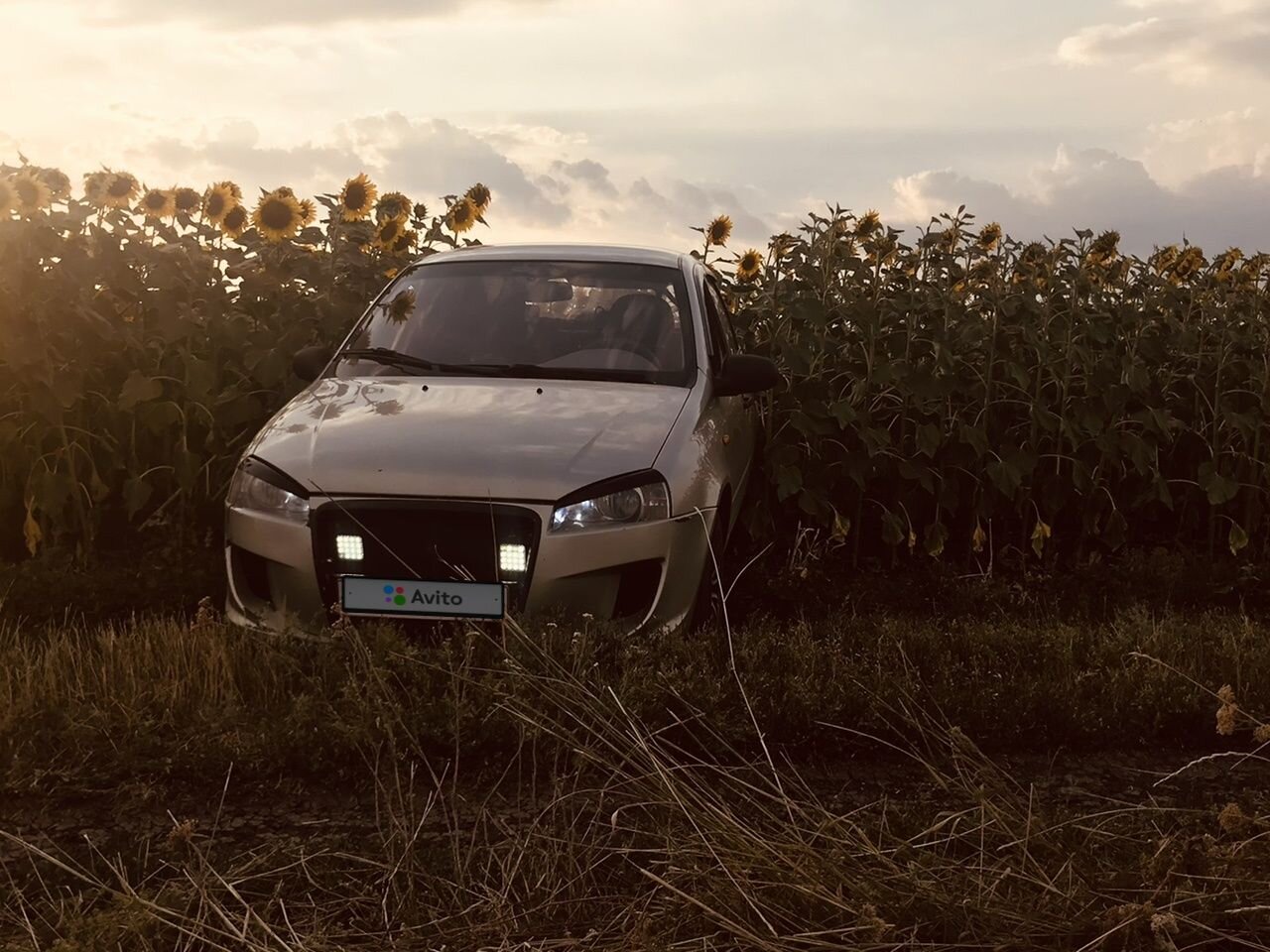 ВАЗ (LADA) Kalina: фото владельца