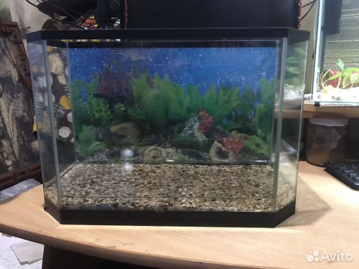 Аквариум 20 и 70литров