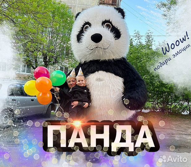 Аниматор Панда, поздравление, на праздник