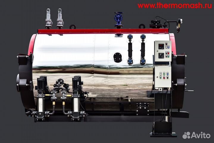 Паровой котел Thermomash 500- 5000 кг пара