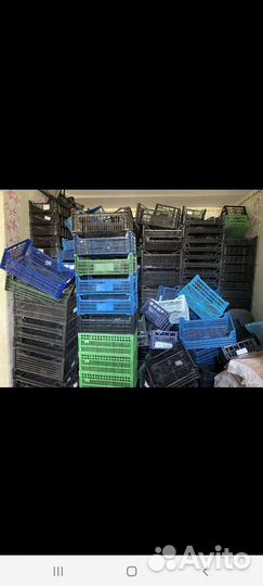 Пластиковые ящики бу
