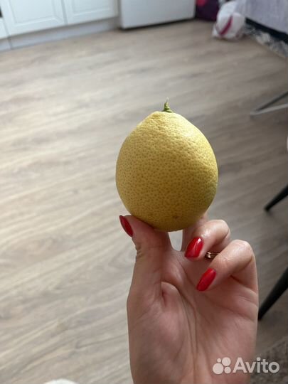 Сушеный лимон