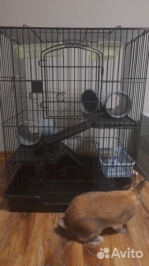 Клетка Triol для шиншил, крыс, дегу