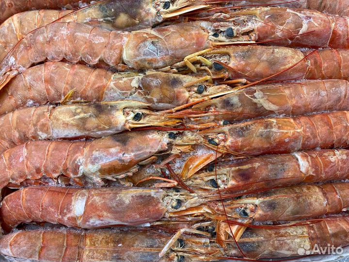 Лангустины L1 крупный. Без посредников