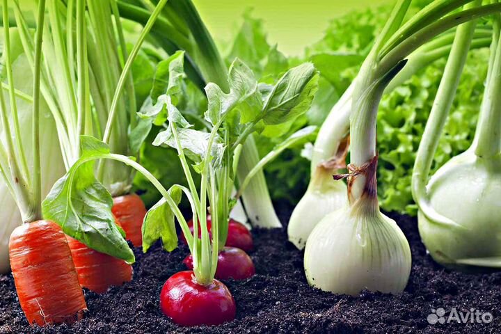 Грунт плодородный черный и коричневый полевой