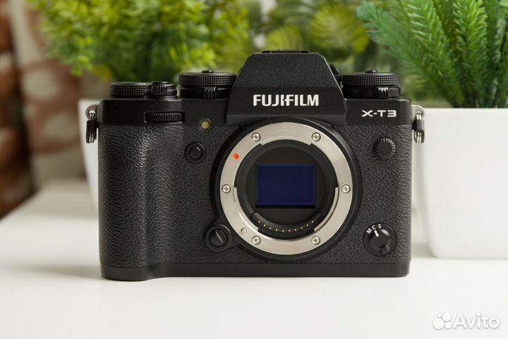 Fujifilm X-T3 (XT3) + Коробка