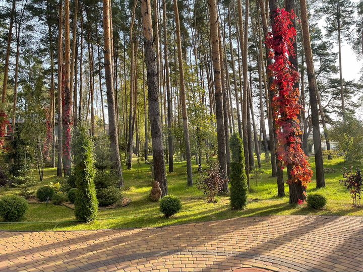 Дом 407,5 м² на участке 50 сот.