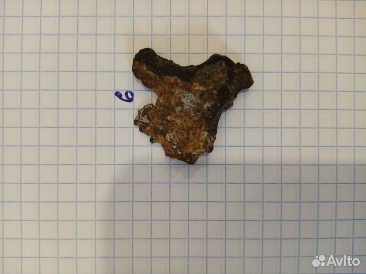 Фрагменты метеорита падения 1998 г