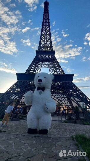 Белый медведь, бурый медведь, аниматор на праздник