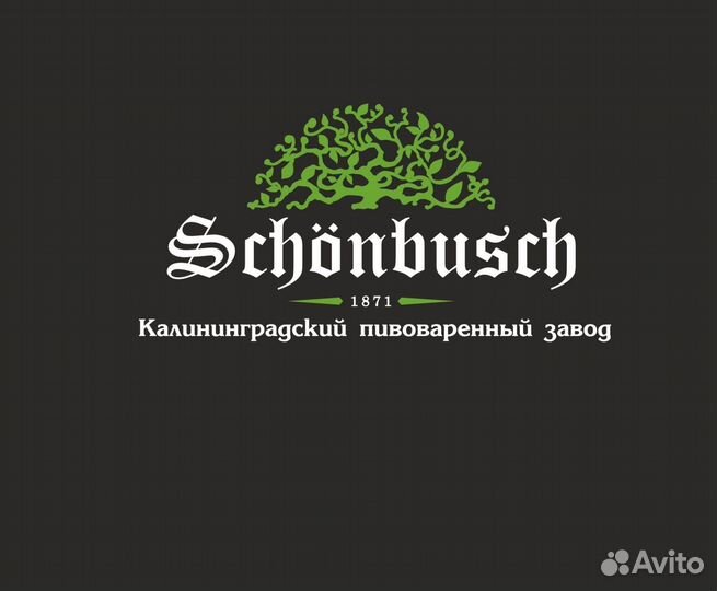 Системный администратор