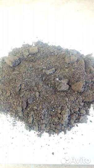 Жмых подсолнечный от 100 тонн