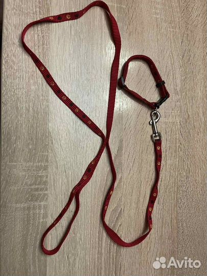 Шлейка и поводок с ошейником для собаки