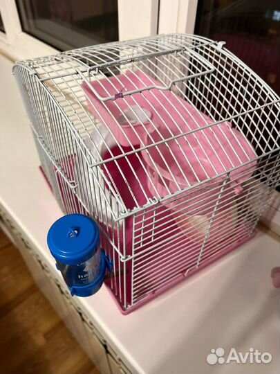 Клетка для джунгарского хомяка