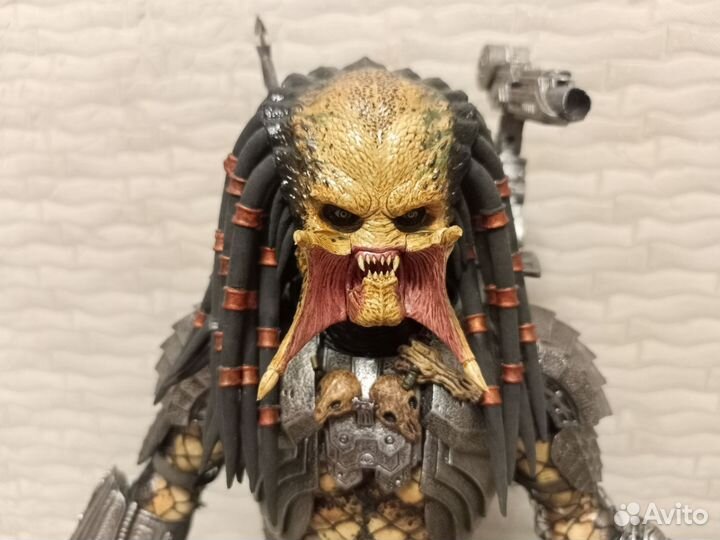 Келтик Хищник для Зураба