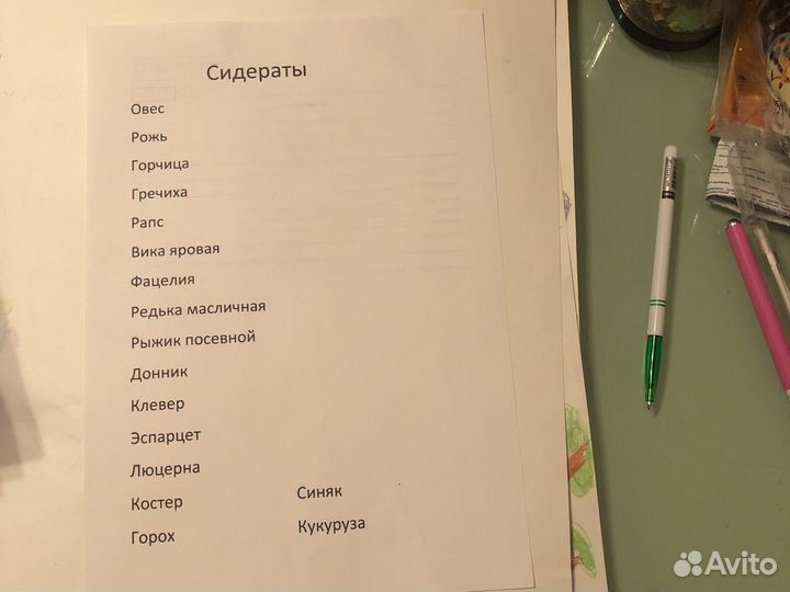 Семена сидератов