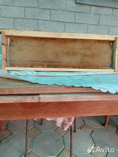 Пчелы и улья