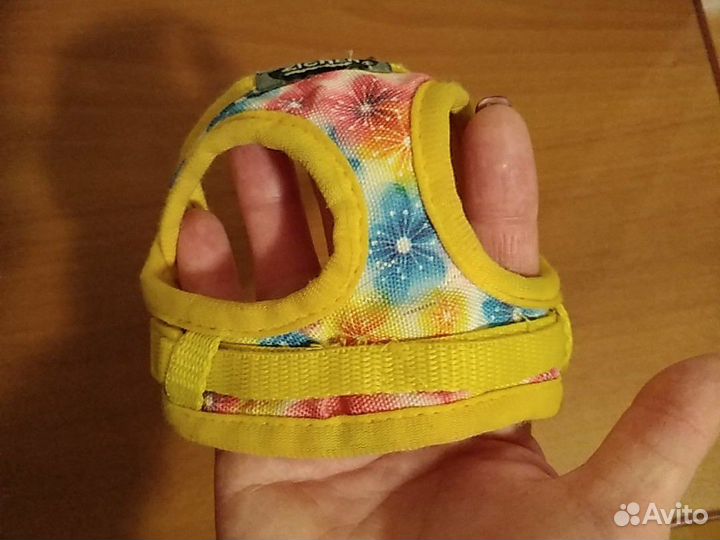 Дождевик, шлейка для маленькой собачки, щенка