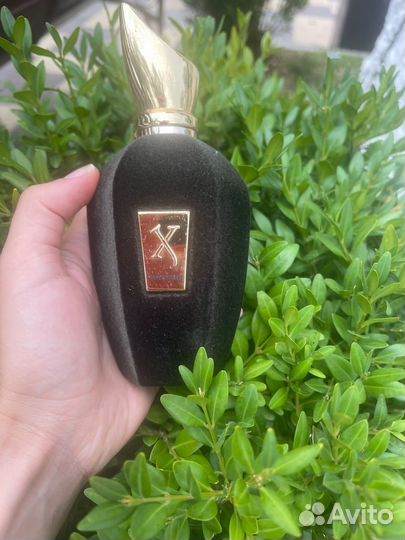 Духи женские мужские Xerjoff разные ароматы